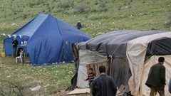 مستوطنون ينصبون خياما في المسعودية شمال غرب نابلس