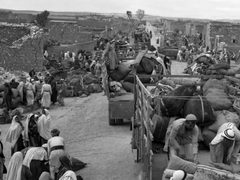لجنة الامم المتحدة تحيي الذكرى ال ٤٨ للنكبة