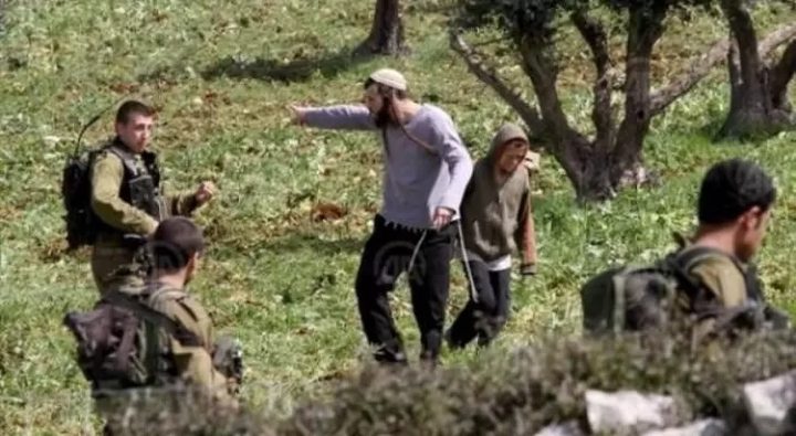 مستوطنون يعتدون بالضرب على مزارع في سنجل شمال رام الله