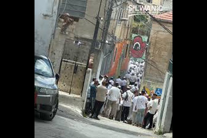 عشرات المستوطنين يقتحمون حي بطن الهوى في سلوان