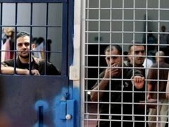هيئة الأسرى: استمرار انتشار “سكابيوس” بين أسرى “عوفر” وسط إهمال طبي