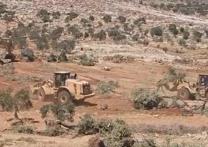 قوات الاحتلال تجرف مساحات واسعة من أراضي بلدة بيت أمر