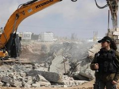 الاحتلال يهدم 3 بركسات ويُتلف أعلافًا شرق بيت لحم