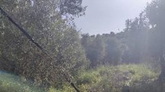 مستوطن يقوم يتخريب شبكة الكهرباء ويقص أعمدة في أراضي قرية مادما جنوب نابلس.