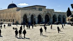 الاحتلال يبعد طفلا عن المسجد الأقصى