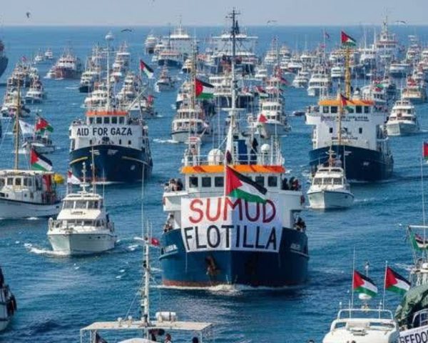 المنظمات الأهلية: الاعتداء على نشطاء "أسطول الصمود" يتطلب إرادة لمحاسبة الاحتلال