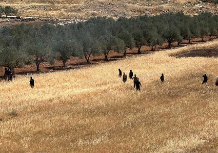الاحتلال يحرق محاصيل زراعية في المغير شمال شرق رام الله