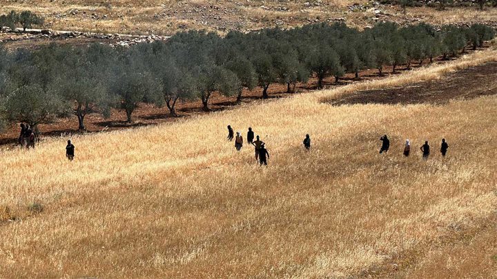 الاحتلال يحرق محاصيل زراعية في المغير شمال شرق رام الله