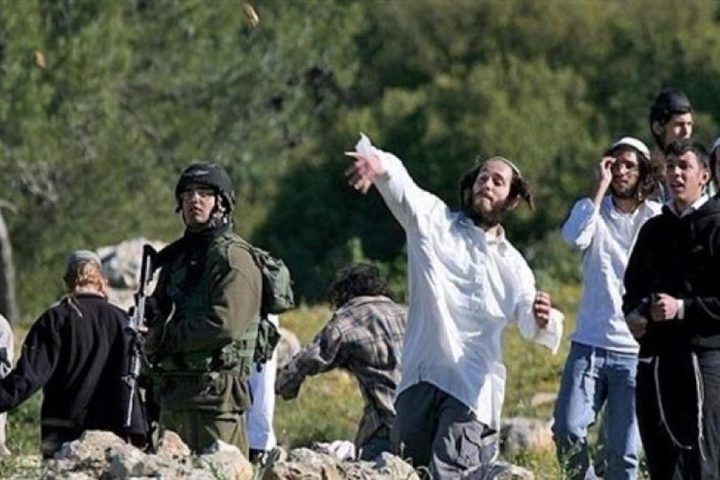 مستوطنون يهاجمون منازل المواطنين في خلايل اللوز جنوب شرق بيت لحم
