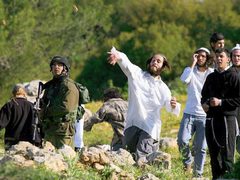 مستوطنون يقتحمون تجمع وادي الحيات شمال أريحا ويسرقون مبلغاً مالياً