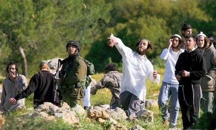 مستوطنون يقتحمون تجمع وادي الحيات شمال أريحا ويسرقون مبلغاً مالياً