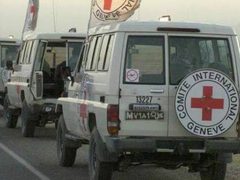 الصليب الأحمر يسهّل نقل أسرى محررين غزة ويجدد مطالبته بزيارة المعتقلين