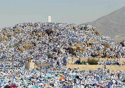مشاهد من صعيد عرفات، لأداء الركن الأعظم من مناسك الحج.