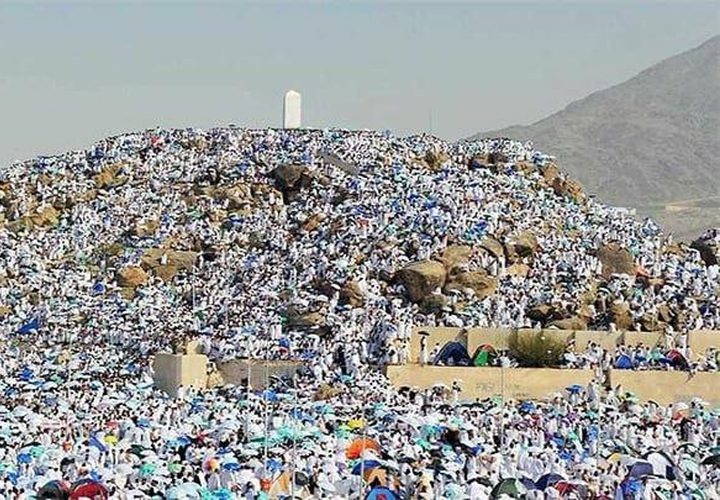 مشاهد من صعيد عرفات، لأداء الركن الأعظم من مناسك الحج.