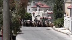 اعتداءات المستوطنين تحرم عائلة فلسطينية من رزقها وفرحة الأضحى في مسافر يطا
