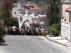 اعتداءات المستوطنين تحرم عائلة فلسطينية من رزقها وفرحة الأضحى في مسافر يطا