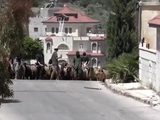 اعتداءات المستوطنين تحرم عائلة فلسطينية من رزقها وفرحة الأضحى في مسافر يطا