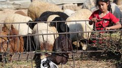 عيد أضحى بلا أضاحٍ… غزة تدخل عاماً ثالثاً من الحرمان تحت الحصار والحرب