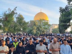 140 ألف مصلٍ يؤدون صلاة عيد الأضحى في المسجد الأقصى رغم تضييقات الاحتلال