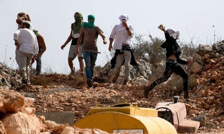 مستوطنون يواصلون اعتداءاتهم على ممتلكات المواطنين في الطيبة شرق رام الله