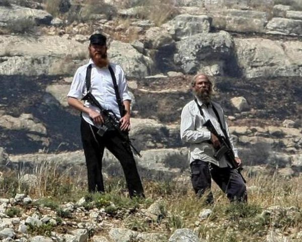 مستوطن يعتدي على مواطنة في مسافر يطا