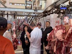 بلدية نابلس تُطبّق آلية جديدة في المسلخ البلدي خلال عيد الأضحى لتنظيم ذبح الأضاحي وتسريع الإجراءات وفق الشروط الصحية المعتمدة