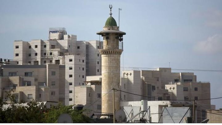 فتوح: مشروع قانون تقييد رفع الأذان اعتداء على حرية العبادة وانتهاك للقانون الدول