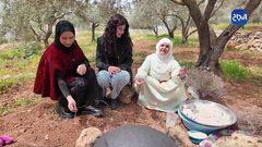 "عناق الزيتون" .. من ترابها