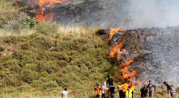 مستوطنون يهاجمون منازل ويحرقون أراضي زراعية في مادما جنوب نابلس