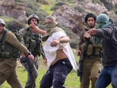 مستوطنون يهاجمون مزارع دواجن في قصرة جنوب نابلس