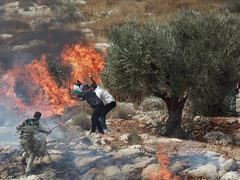 رام الله: مستوطنون يضرمون النار في أراضي برقا والاحتلال يقتحم سنجل