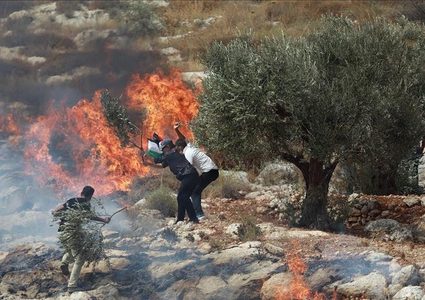 رام الله: مستوطنون يضرمون النار في أراضي برقا والاحتلال يقتحم سنجل