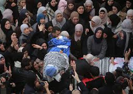 فتوح: مجازر الاحتلال المتواصلة بحق المدنيين تمثل جريمة حرب مكتملة الأركان