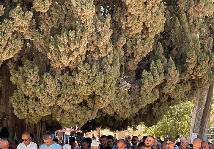 60 ألف مصل يأدون صلاة الجمعة في المسجد الأقصى المبارك