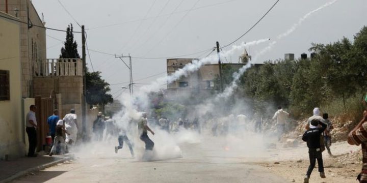 مواطنون يتصدون لهجوم مستوطنين في عصيرة القبلية
