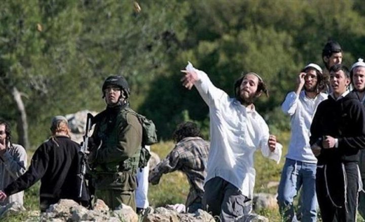 مستوطنون يهاجمون عددا من المنازل ويسرقون أغناما في حوارة جنوب نابلس