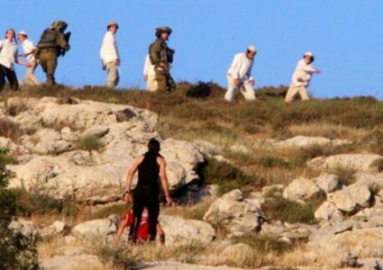 مستوطنون يعتدون بالحجارة على مواطن ونجله في الخضر جنوب بيت لحم