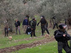 الاحتلال يعتقل خمسة مزارعين من بيت عنان شمال غرب القدس