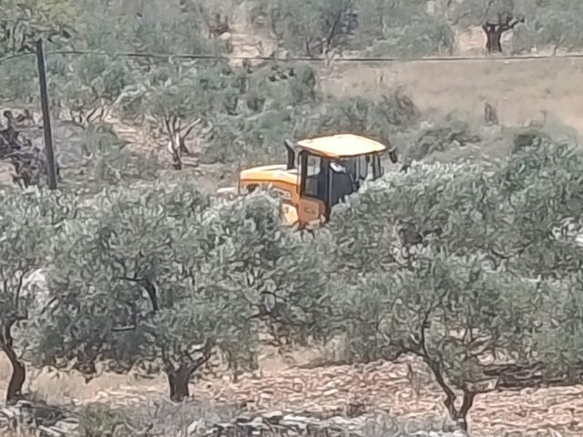 الاحتلال يجرف أراضي زراعية ويقتلع أشجارًا في سنجل شمال رام الله