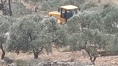 الاحتلال يجرف أراضي زراعية ويقتلع أشجارًا في سنجل شمال رام الله