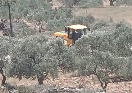 الاحتلال يجرف أراضي زراعية ويقتلع أشجارًا في سنجل شمال رام الله