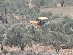 الاحتلال يجرف أراضي زراعية ويقتلع أشجارًا في سنجل شمال رام الله