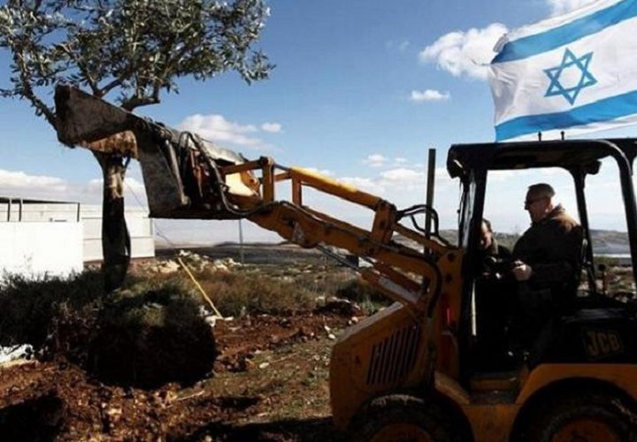 الاحتلال يستولي على نحو 393 دونماً ويصدر أوامر عسكرية واستملاكات جديدة خلال أيار