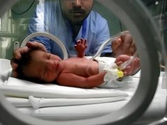 1701 مولود جديد بقطاع غزة خلال أيار الماضي وتسجيل 159 حالة وفاة