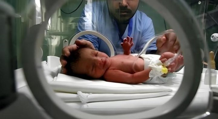 1701 مولود جديد بقطاع غزة خلال أيار الماضي وتسجيل 159 حالة وفاة