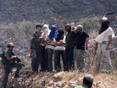 هيئة مقاومة الجدار والاستيطان: 1659 اعتداءً للاحتلال والمستوطنين بحق الفلسطينيين
