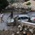 مستوطنون يهاجمون منزلا في قرية برقة شمال غرب نابلس