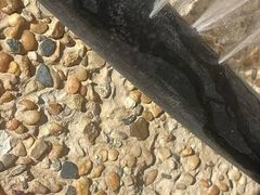 مستوطنون يقطعون ويخربون خطوط المياه في الخان الأحمر شرق القدس