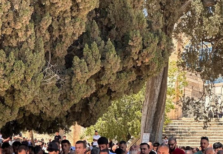 65 ألفا يؤدون صلاة الجمعة في المسجد الأقصى المبارك