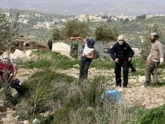 مستعمرون يهاجمون المواطنين في المسعودية